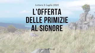 Lettura 2 Luglio 2022   'offerta delle primizie al signore Lv 23,9  25 22