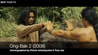 Best Fight Scenes   Hung Ga