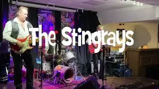 The Stingrays (UK) Miserlou  Instrumental