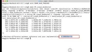 4.3.3 Parallelizing Loop 2
