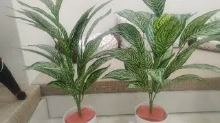 Part one   आर्टिफिशियल/under stairs garden) How to make Zen garden#shortvideo #garden 