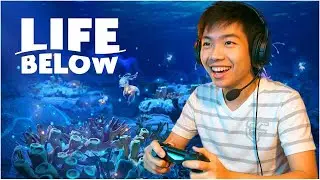 🔴Life Below #1 &ndash; H&agrave;nh Tr&igrave;nh Hồi Sinh Đại Dương Đang Chết