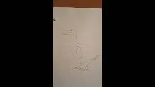 Extincti Animals  The Dodo
