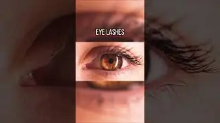 Crazy Results Found Under Microscope😱 #trending