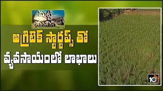 అగ్రిటెక్ స్టార్టప్స్ తో వ్యవసాయంలో లాభాలు | How Agritech Startup Help Farmers In India