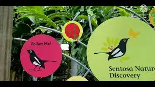IMBIAH LOOKOUT NATURE  DISCOVERY SENTOSA SINGAPORE