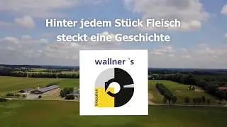 Wallners Bioputen Kurzfilm