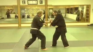 Shihanke Rhodes, Shinkodenkai .