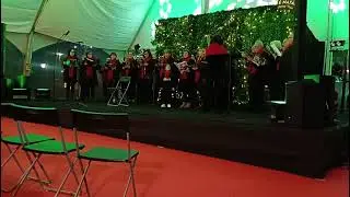 Linda noite - Concerto Feira Natal - Parque D.Maria II em Santo Tirso
