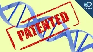 Gene Patents: 5 Things You Should Know