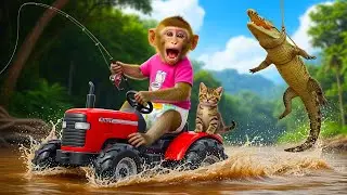 🚜🐒 Mika Monkey Drives Tractor to Go Fishing, Saves a Crocodile & Cat - Monkey's Everyday Life! 🐊