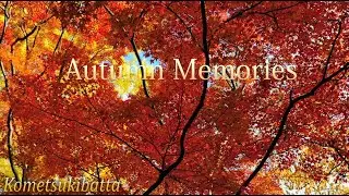 Autumn Memories