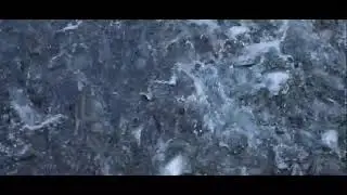 World Fisheries Day, 2021