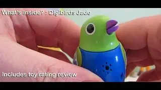 Opening unboxing and demonstration Digibirds Jade interactive bird toy