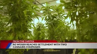 2 cannabis companies settle with Colorado AG