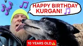 HAPPY BIRTHDAY KURGAN! - 10 Years Young! - Birthday Song & Feast 🐺🥳🎉