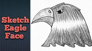 How to Draw Beautiful Eagle Face with unique pencil # pure pencil art #video #drawing #