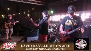 David Hasselhoff On Acid