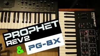 Prophet Rev2 synth Demo vs. PG-8X + OP-X Pro II VSTs