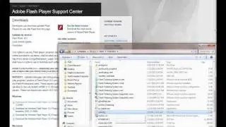 TestComplete: Testing Flash/Flex Applications with FlashInjector