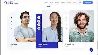 SEO Tool Website Design  HTML, CSS & JS