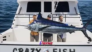 Catch the Best Deals | Payne Weslaco Ford | Weslaco, Texas