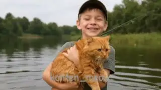 Kumpulan video lucu kucing 