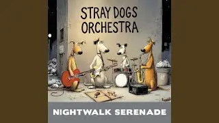 Nightwalk Serenade