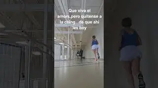 Mi vida fitness