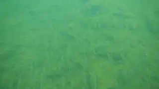 DSCN0134
