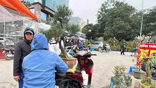CHỐT RỒI - CHỊ LIÊN MỞ HÀNG PHIÊN CUỐI NĂM, CÂY TÙNG ĐEN ĐẸP QUÁ
