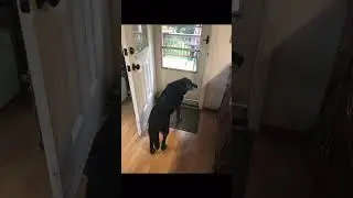 As she died in her sleep and she had bone cancer