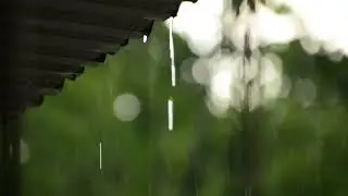 Расслабляющие мягкие звуки дождя | петля дождливое видео | Успокаивающий звук