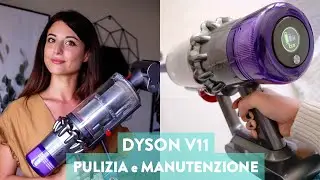 RECENSIONE DYSON V11 Absolute 599€ BEN SPESI?  - PULIZIA E MANUTENZIONE aspirapolvere senza fili