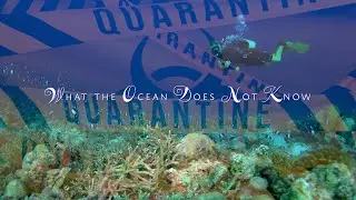 What the Ocean Does Not Know (short)