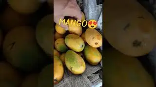TASTY Mangoes 😍 😋 Dussheri mango #foodshorts #shorts #mangoes #tasty #youtubeshorts #ytindiashorts