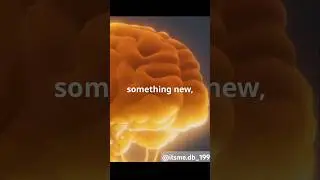 The Incredible Power of Your Brain: Understanding Memory and Learning #brainpower