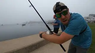 Saltwater fishing in Watch Hill (Rhode Island) DAY 3 2021