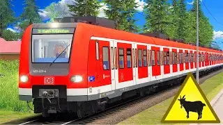 ACHTUNG Ziege! | BR 423 - Regionalbahn | TRAIN SIMULATOR 2020 | Mittenwaldbahn - Karwendelbahn RSSLO