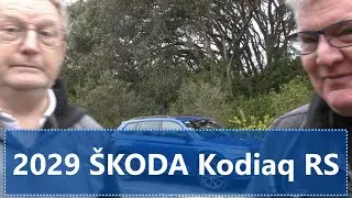 2020 Skoda Kodiaq RS Full Gay car Review