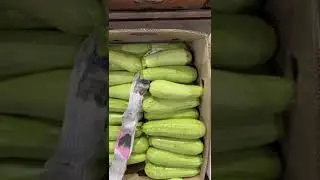 Фрукты Овощи Финики Орехи Консервы от Марченко Иран Fruits Vegetables Dates Nuts Canned food Iran