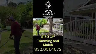 Ava Landscape | Houston Lawn & Landscape Experts