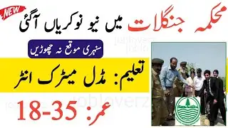 Forest Department Jobs 2022 | Jobs in Pakistan 2021 |Govt Jobs 2021 Pakistan Punjab | New Jobs 2021