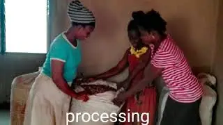 The processing of sheabutter nuts into oil.