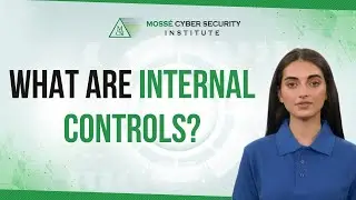 What are Internal Controls?