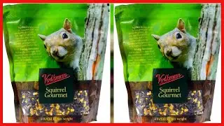 Quality product -  Volkman Seed Small Animal Squirrel Gourmet Mix Healthy Formulated Diet Food 4lbs