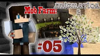 Cursed Earth Farm! - Modded SMP E5 - SoberBartender