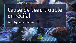 Cause De L'eau Trouble En R&eacute;cifal