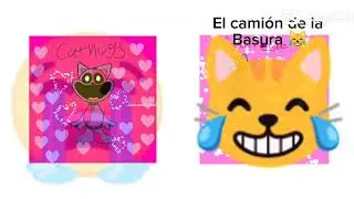 las versiones/verciones de cathugs