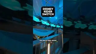 Disney&rsquo;s Rider Switch is a program that is offered for parents at the Disney Parks! #disneytrip